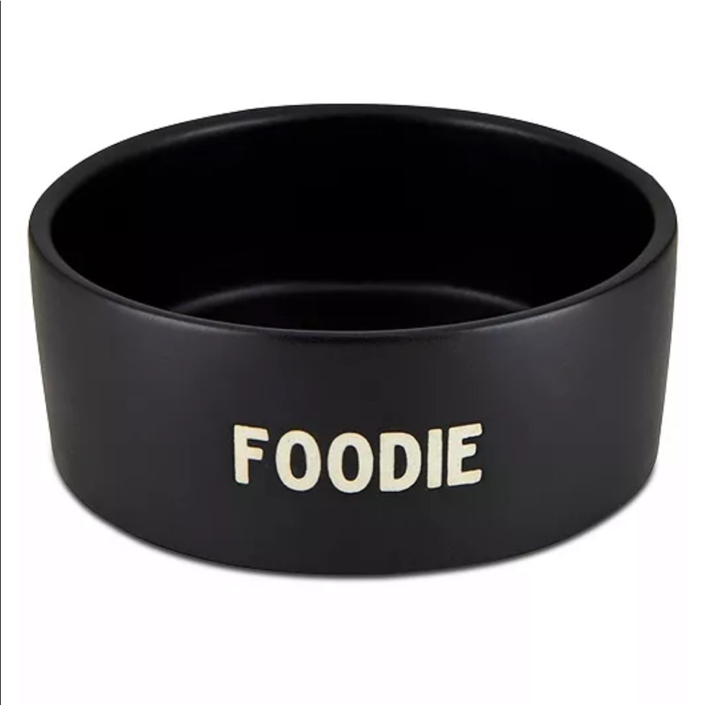 🎉🎉 HOST PICK 🎉🎉 Santa Barbara Design Studio Pet Food Bowl 🐕 NEW